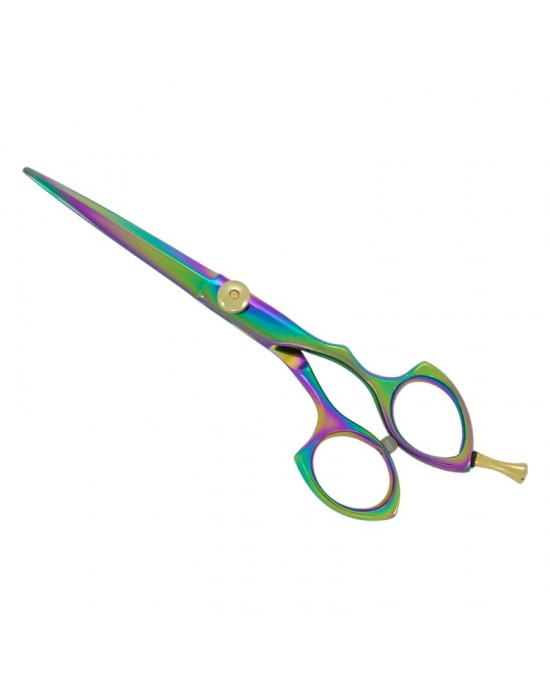 Professional Hair Cutting Scissors