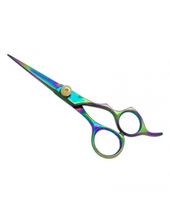 Professional Hair Cutting Scissors