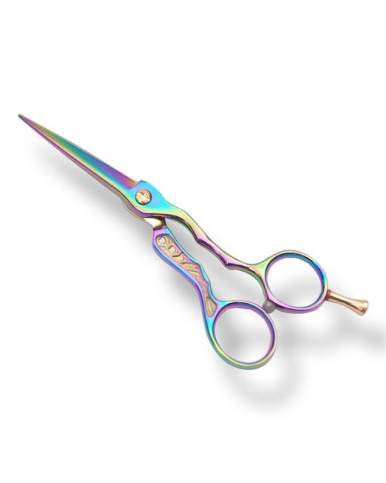 Professional Hair Cutting Scissors