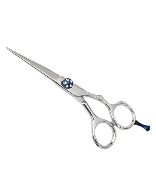 Professional Hair Cutting Scissors