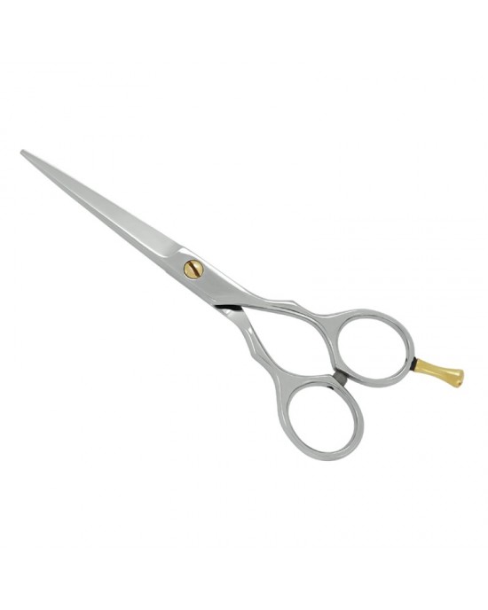 Professional Hair Cutting Scissors