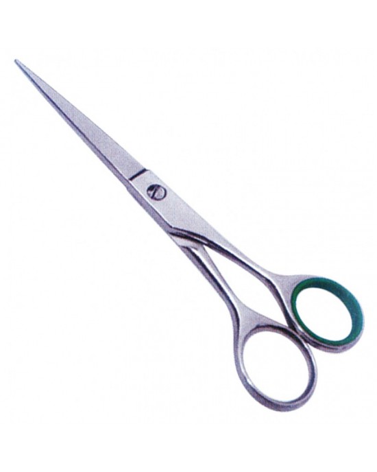 Economy Hair Scissors