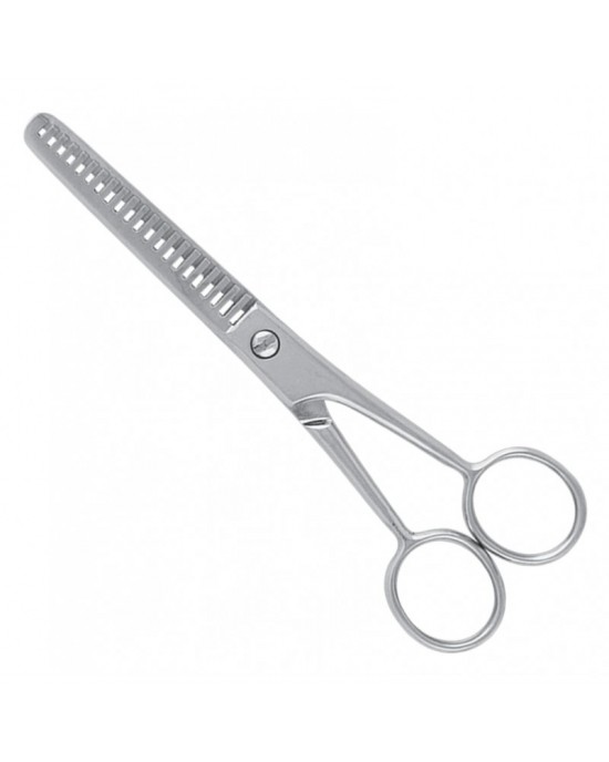 Economy Hair Scissors
