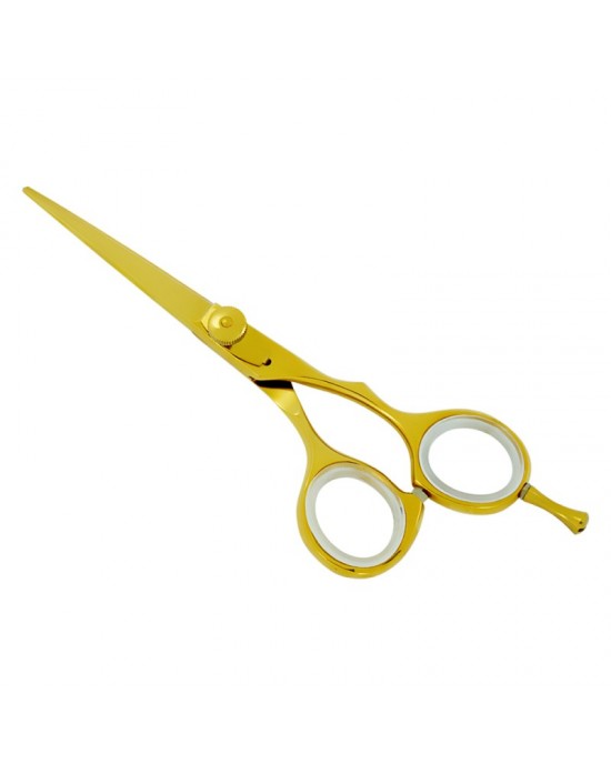 Professional Hair Cutting Scissors