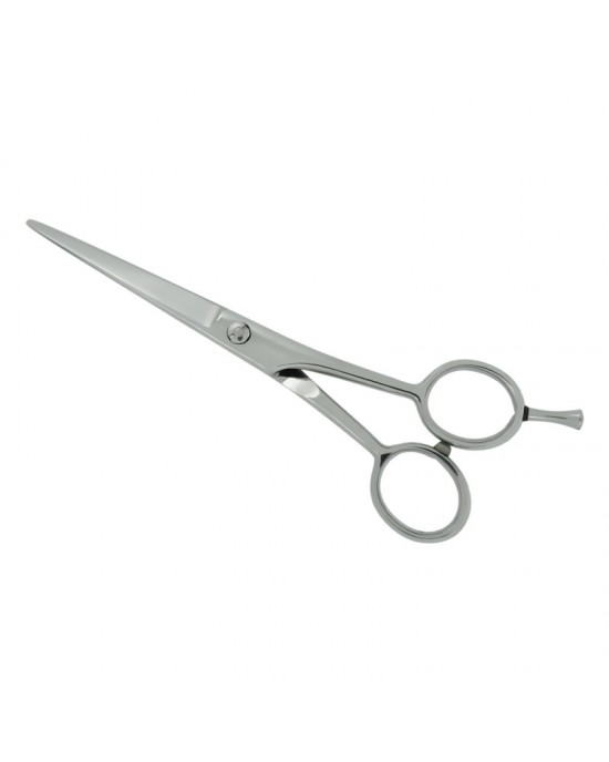 Professional Hair Cutting Scissors