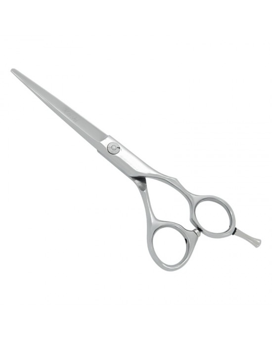 Professional Hair Cutting Scissors