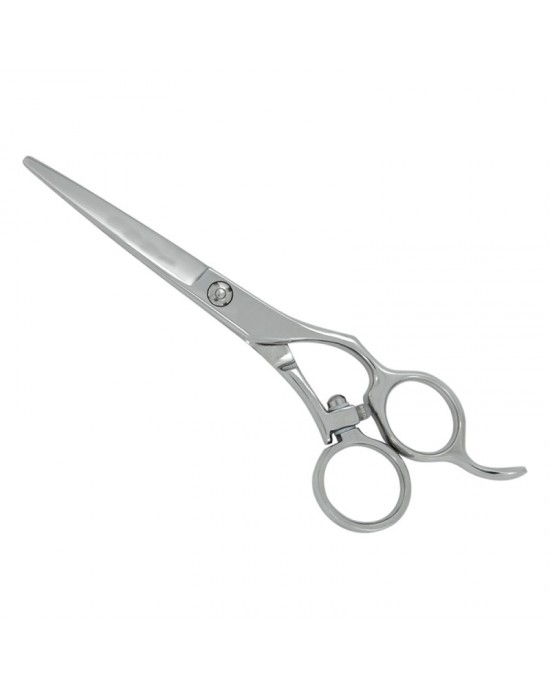 Professional Hair Cutting Scissors