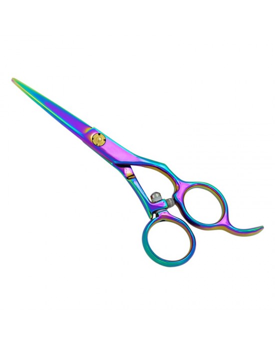 Professional Hair Cutting Scissors
