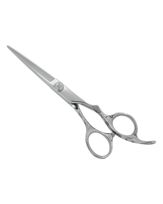 Professional Hair Cutting Scissors
