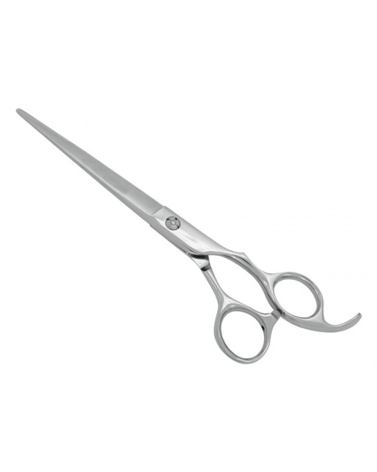 Professional Hair Cutting Scissors