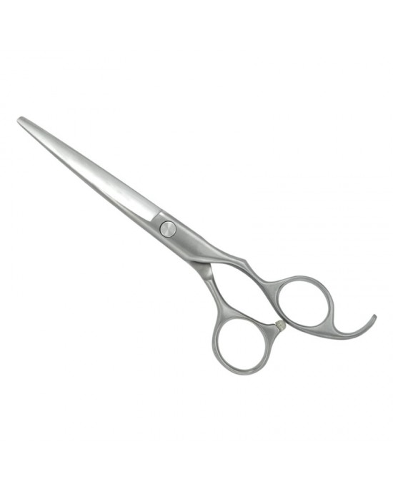 Professional Hair Cutting Scissors